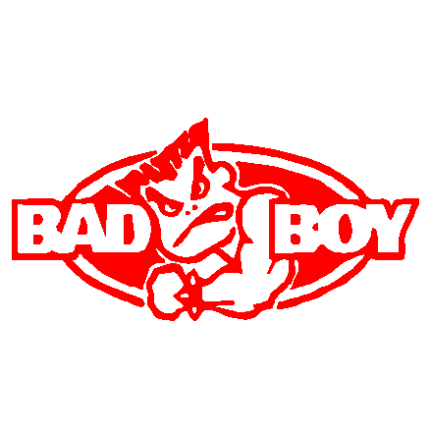 Bad Boy car decal - 900