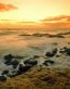 Beaches and Coastal Vinyl Wall Graphics 041