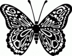 Butterfly Decal 4