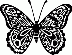 Butterfly Decal 4