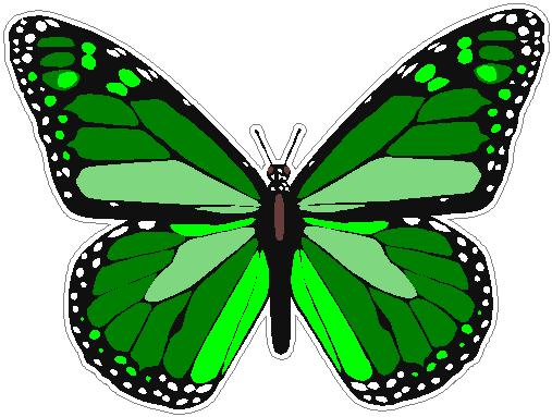 butterfly sticker  GREEN color