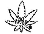cannabis funny weed decal