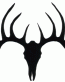 Deer Skull 04
