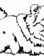 Dog Breed Decal 09a