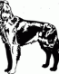 Dog Breed Decal 56