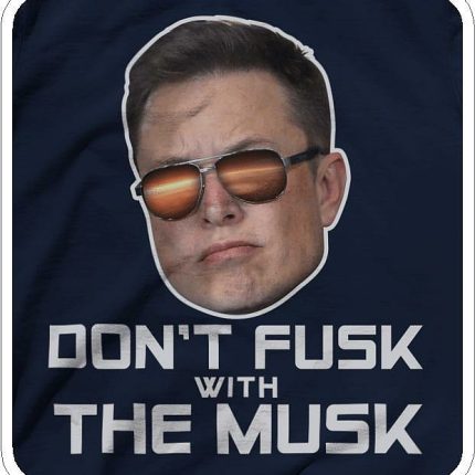 Dont FUSK with the MUSK funny car sticker