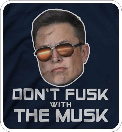 Dont FUSK with the MUSK funny car sticker