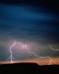 Forces of Nature Adhesive Wall Art 43