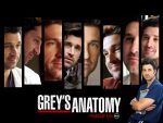 Greys Anatomy Wallpaper Sticker 2