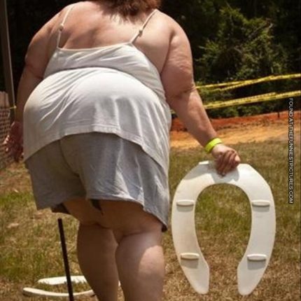 horseshoes with a toilet seat redneck sticker