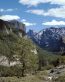 Landscape Vinyl Wall Graphic Decals 63