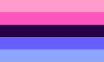 omni pride flag