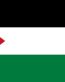 Palestine flag