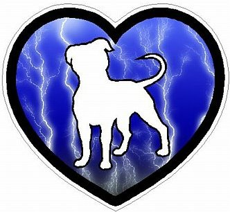 PITBULL HEART STICKER FILLS lightning blue