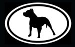 Pitbull Oval Decal 2