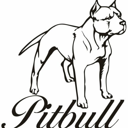 Pitbull Vinyl Car Decal 12