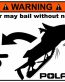 Polaris Funny Warning Sticker 8