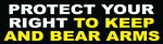Protect Your Right To Keep And Bear Arms Bumper Sticker
