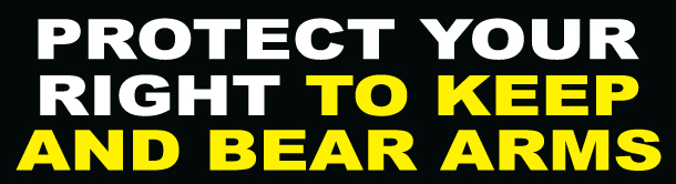 Protect Your Right To Keep And Bear Arms Bumper Sticker