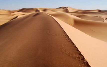 Sand and Deserts Vinyl Wall Graphics 43