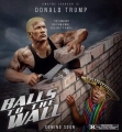Trump Build the Wall Funny Political Sticker