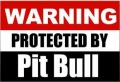 Warning Protected by Pitbull Sticker Dog Pitt Decal