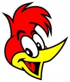 Woody-Woodpecker-Head-Funny-Cartoon-Car-Bumper-Vinyl