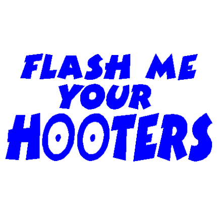 Flash Hooters decal