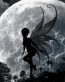 Fairies and Fantasy Wall Graphics 150