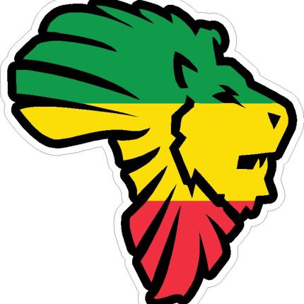 African Rasta Lion Africa Color Sticker