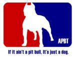 american pit bull terrier sticker RWB