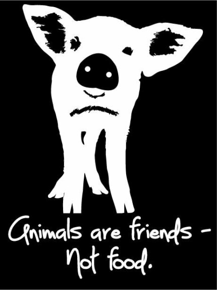 ANIMALS ARE FRIENDS NOT FOOD STICKER