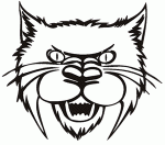 Bobcat Vinyl Diecut Decal Sticker 3