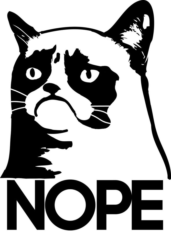 Cat Decal NOPE Funny Car Decal