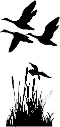 Duck Hunting Decal Sticker 34