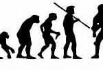 Evolution Sport Stickers BASEBALL PITCHER