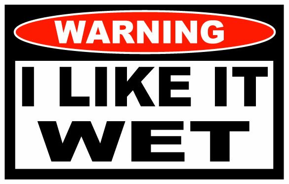 I Like It Wet Funny Warning Sticker