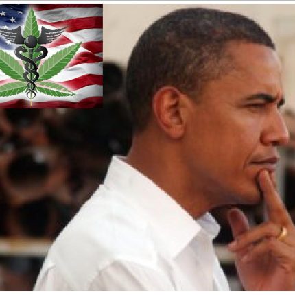 Obama Legalize Weed Sticker 2