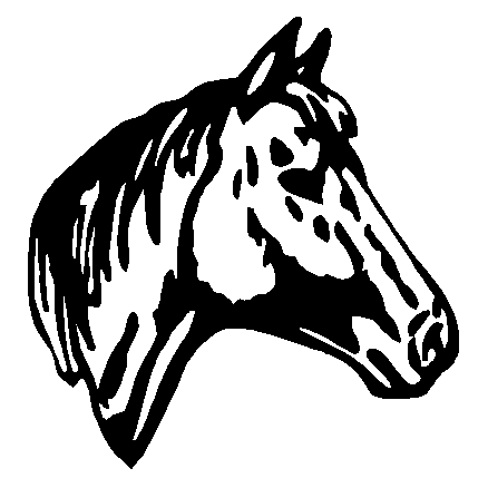 Horse Head auto graphic