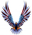 american Eagle-USA Attack sticker