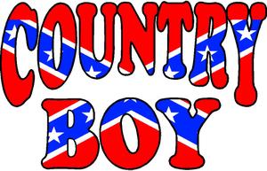 COUNTRY BOY REBEL FLAG FILL STICKER 2