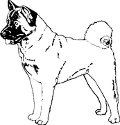 Dog Breed Decal 02a