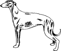 Dog Breed Decal 54a