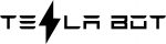 Elon Musk TESLA BOT DIE CUT DECAL 5