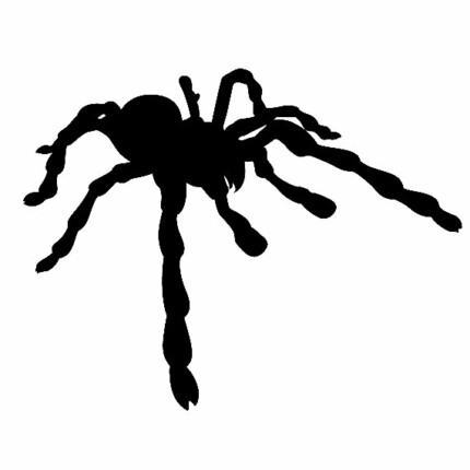 Giant Spider Decal