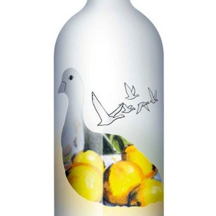 grey-goose-vodka-CITRON