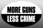 Gun Control Decals Oval 2