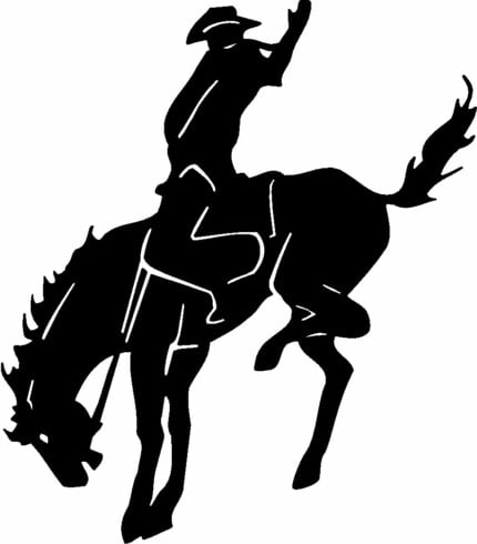Horses Horse Animal Vinyl Car or WALL Decal Stickers 09