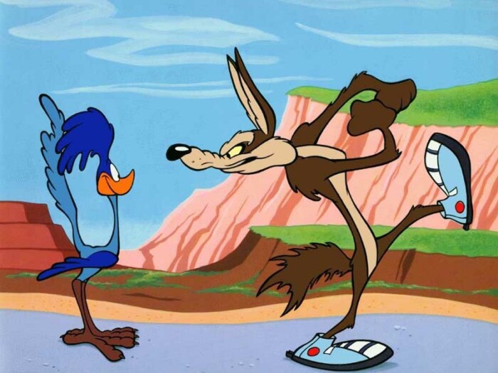 Road Runner and Wile cartoon sticker 12