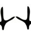 Turkey Tracks Outdoor Decal